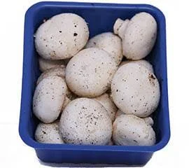 Mushroom(Button) Weight: 0.2 Kg