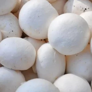 Normal Mushroom 200gm